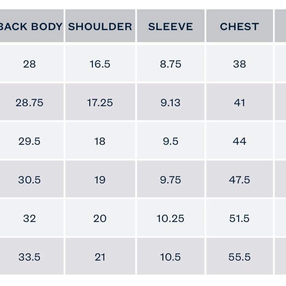 Polo Ralph Lauren Classic Fit Flag Mesh Short-sleeve Polo Shirt, Mens X-L, NWT - Picture 6 of 6